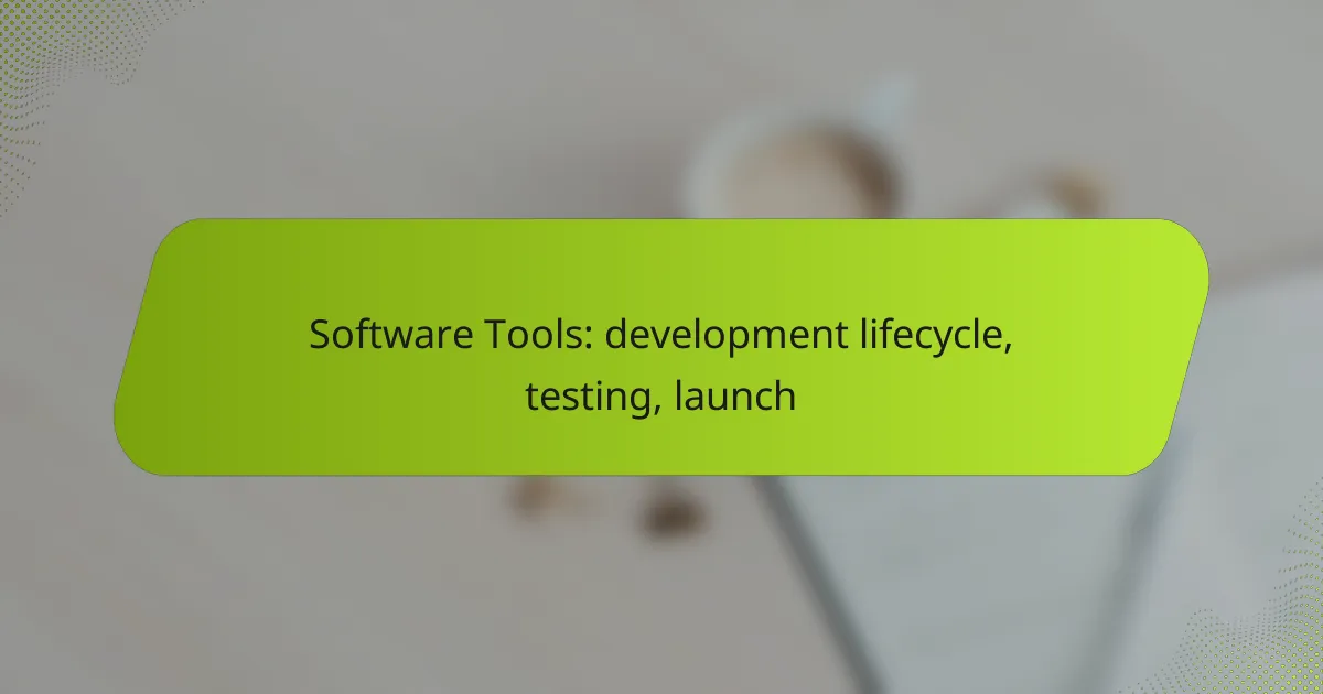 Software Tools: development lifecycle, testing, launch